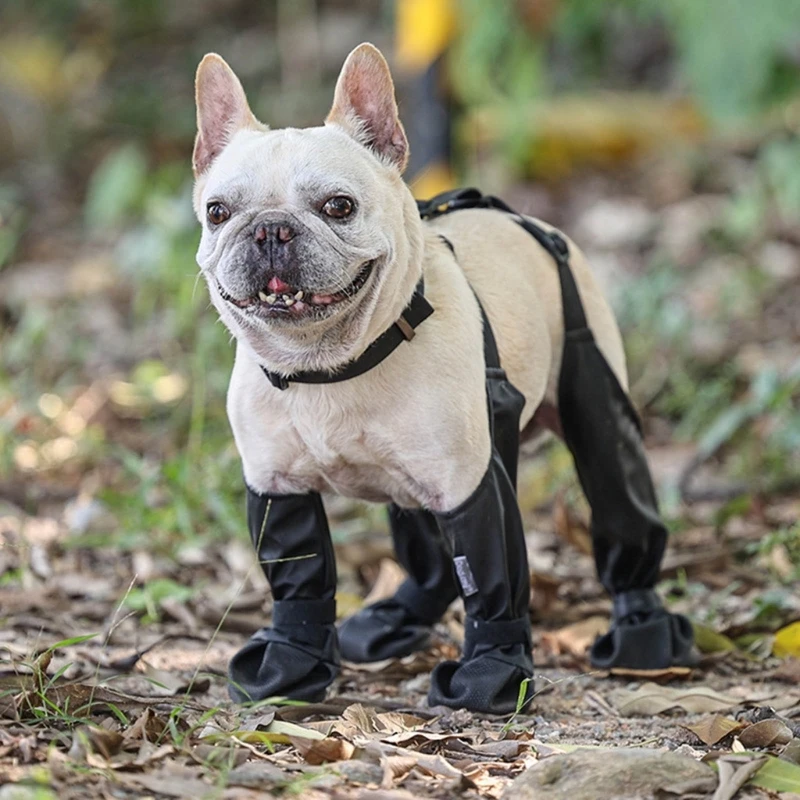 בטיחות הכלב נעלי חוצות נעלי הליכה עמיד למים הכלב רגל מכסה ליום גשום