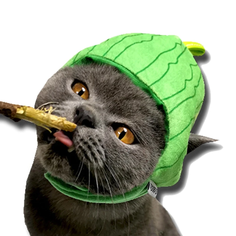 חתול מצחיק כובע מחמד כובע פרי רך נוח תחפושות, אביזרים בטוח & חם חומר זרוק משלוח
