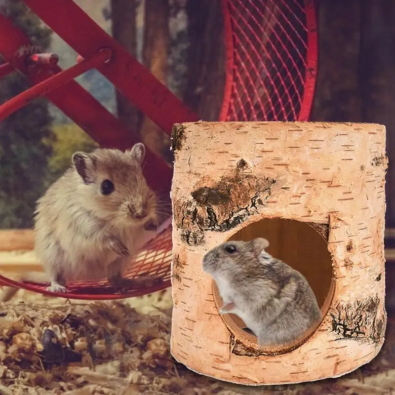 ליבנה חור העכבר טבעי מעץ מלא בעלי חיים המנהרה אוגר זהוב דוב עץ חור בצינור ללעוס צעצוע קטן מטפס על חיית המחמד בבית