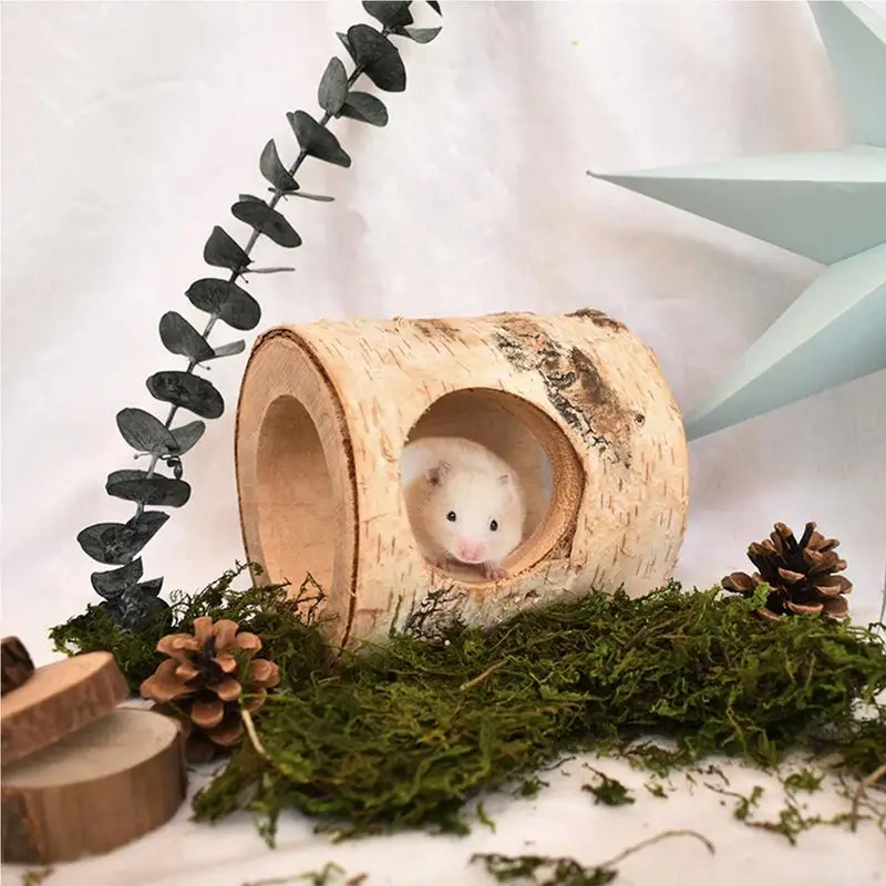 ליבנה חור העכבר טבעי מעץ מלא בעלי חיים המנהרה אוגר זהוב דוב עץ חור בצינור ללעוס צעצוע קטן מטפס על חיית המחמד בבית