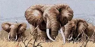 14/16/18/27/28 מקסים ספרתי לחצות סטיץ ' קיט כוח של סרנגטי שלושה פילים פילים המשפחה דים 35012
