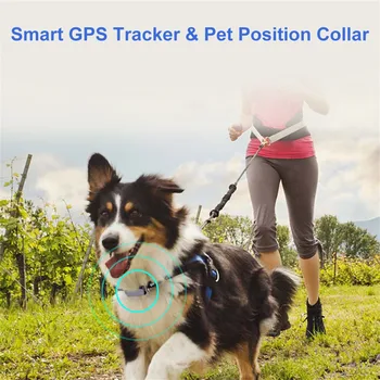 מחמד ה-Gps Tracke, אין תשלום חודשי, מעקב בזמן אמת צווארון המכשיר, אפליקציה שליטה על כלבים וחיות מחמד פעילות מוניטור(שחור) - מחמד