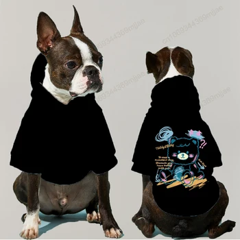 ברדס הכלב קפוצ 'ון בגדים צ' יוואווה אופנתי ללבוש גור החליפה לכלבים, חתולים, בגדים ואביזרים לפוג החורף 2023 חיות מחמד קטנות